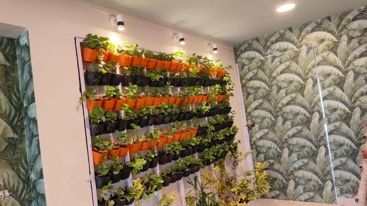 Virohaa Garden Hotel 加济阿巴德 外观 照片